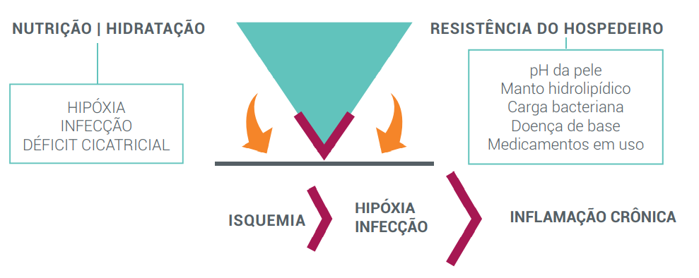 Nutrição e hidratação 