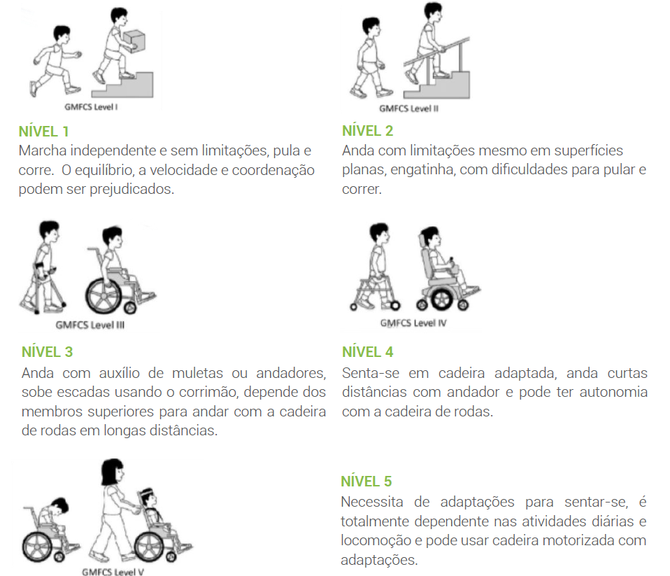extensão dos danos causados em função da capacidade motora do paciente com paralisia cerebral 