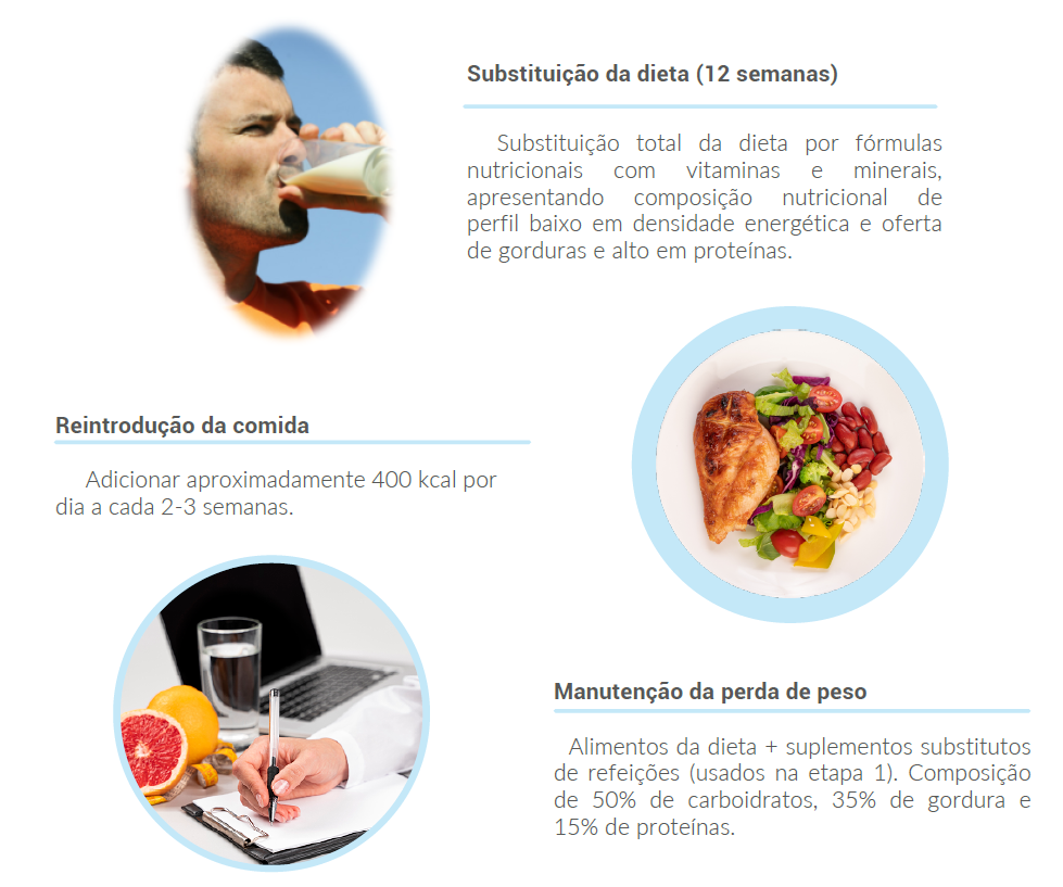 Protocolo Nutricional 