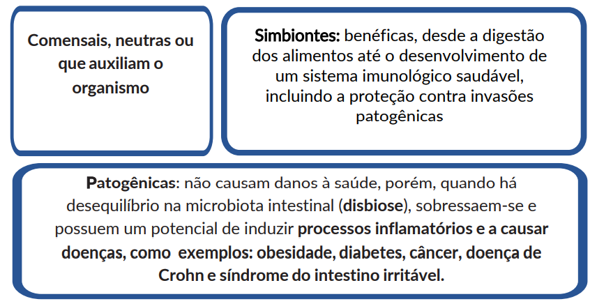 Classificação dos microorganismos