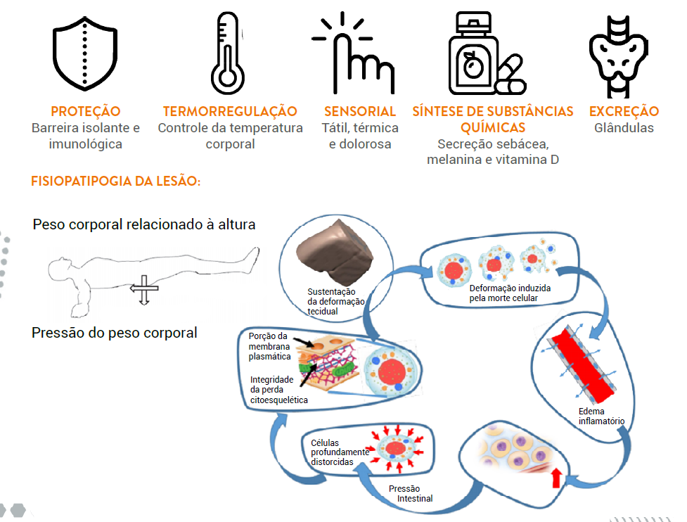 Fisiopatologia da lesão 