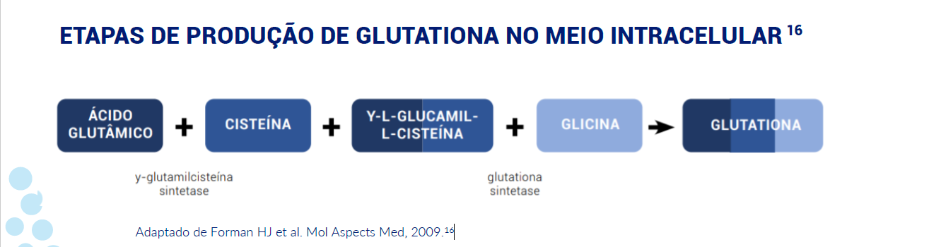 etapas de produção 