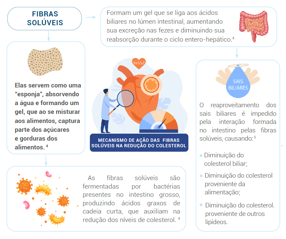 MECANISMO DE AÇÃO DAS FIBRAS SOLÚVEIS NA REDUÇÃO DO COLESTEROL