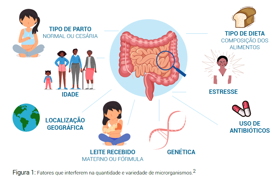 Fatores que interferem na quantidade e variedade de microrganismos.