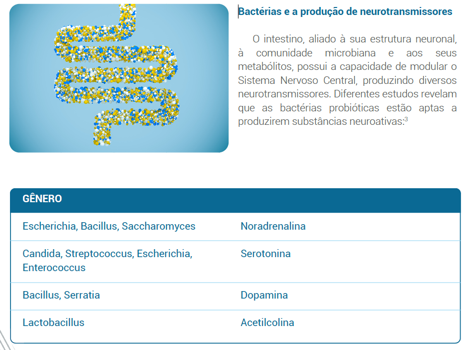Bactérias e a produção de neurotransmissores