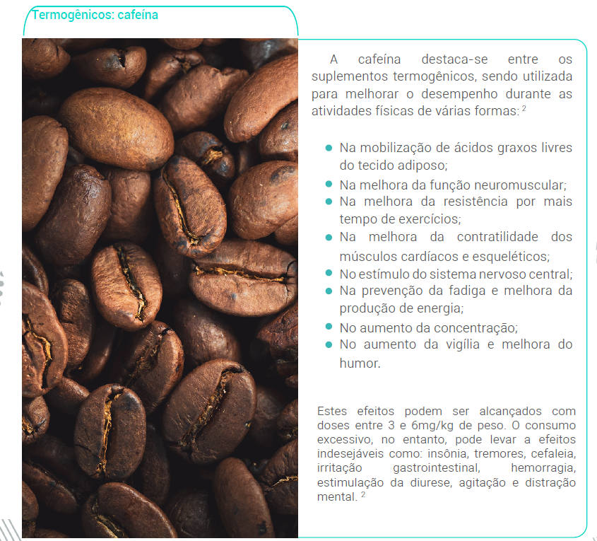 Termogênicos: cafeína