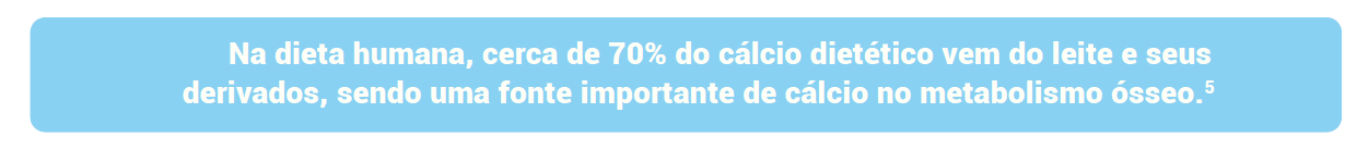 Na dieta humana, cerca de 70% do cálcio dietético vem do leite e seus derivados, sendo uma fonte importante de cálcio no metabolismo ósseo.