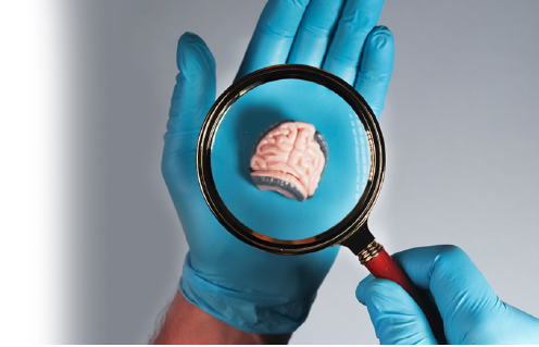 Mão segurando miniatura de cérebro e mostrando em uma lupa