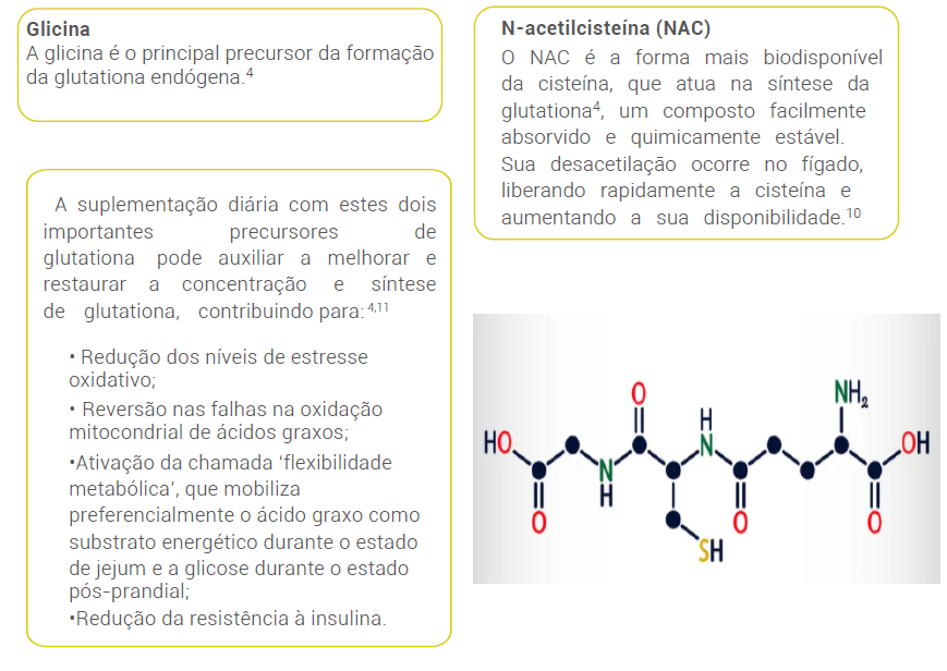 Precursores da Glutationa 