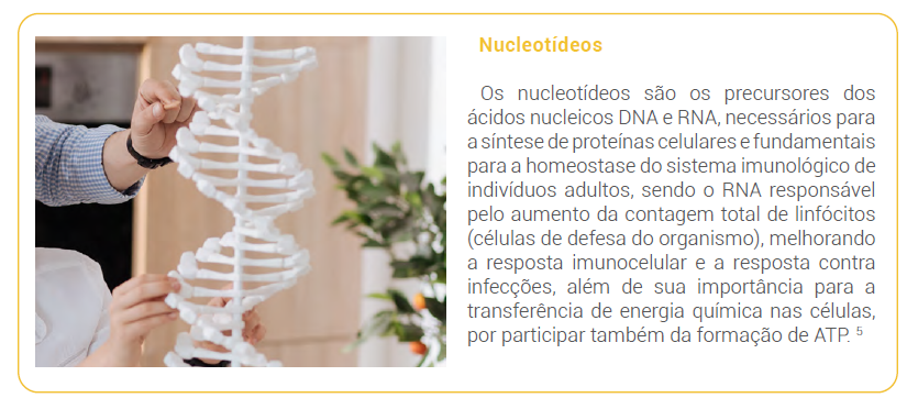 Nucleotídeos 