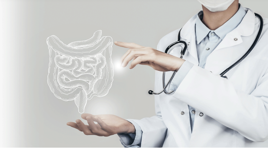 Medica segurando ícone de intestino Medica segurando ícone de intestino