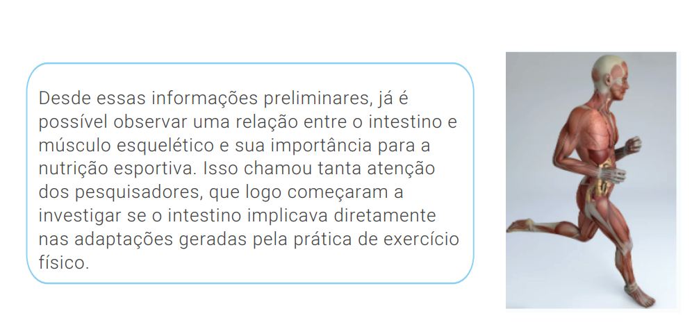 relação entre o intestino e músculo esquelético e sua importância para a nutrição esportiva