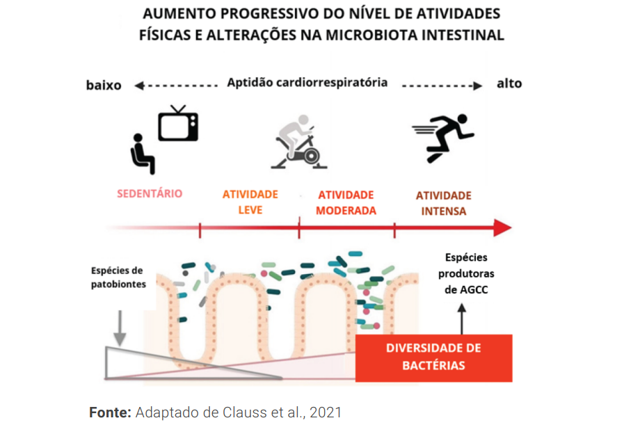 Atividade física e melhora da microbiota intestinal 