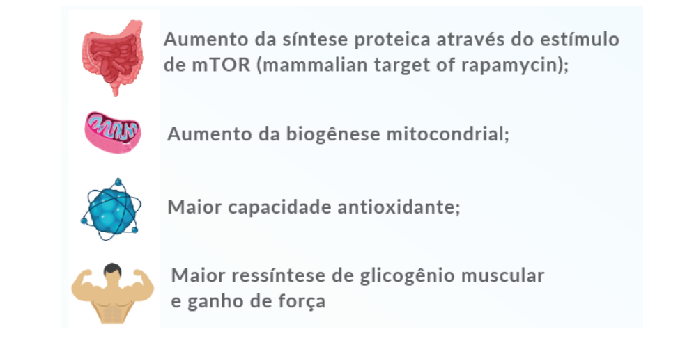  benefícios do intestino saudável