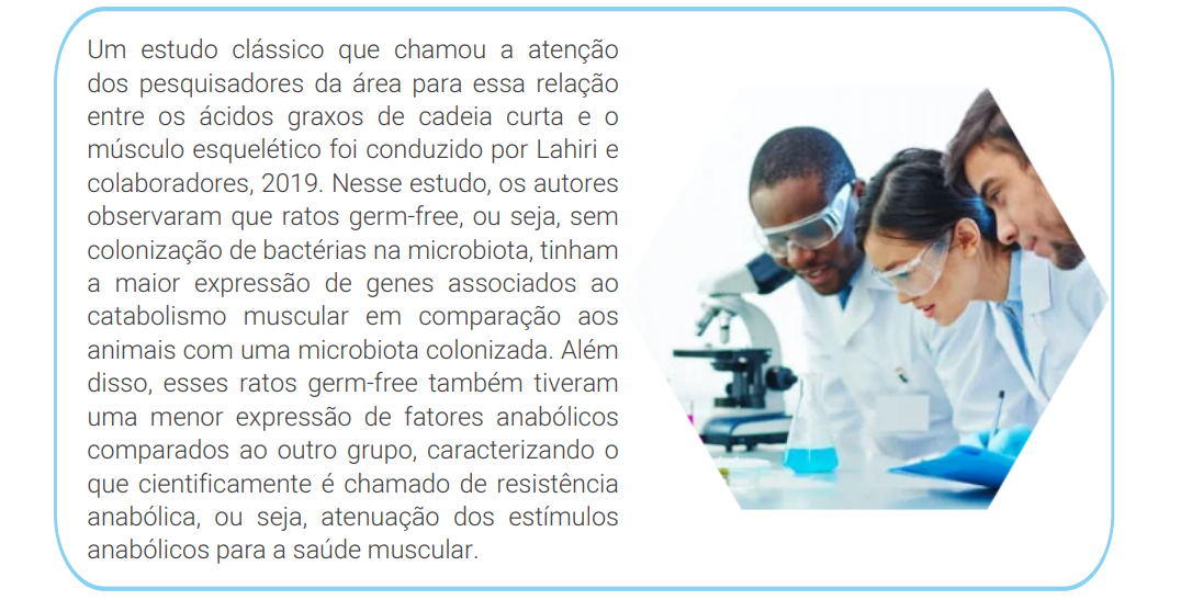 Um estudo clássico que chamou a atenção dos pesquisadores da área para essa relação entre os ácidos graxos de cadeia curta e o músculo esquelético foi conduzido por Lahiri e colaboradores, 2019. Nesse estudo, os autores observaram que ratos germ-free, ou seja, sem colonização de bactérias na microbiota, tinham a maior expressão de genes associados ao catabolismo muscular em comparação aos animais com uma microbiota colonizada. 