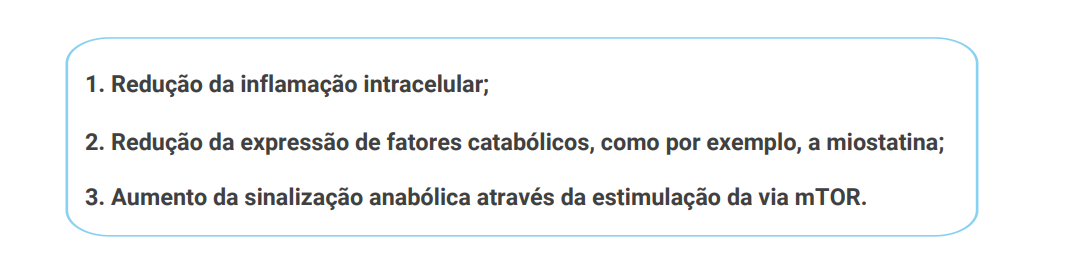 1.Redução da inflamação intracelular; 2. Redução da expressão de fatores catabólicos, como por exemplo, a miostatina; 3. Aumento da sinalização anabólica através da estimulação da via mTOR