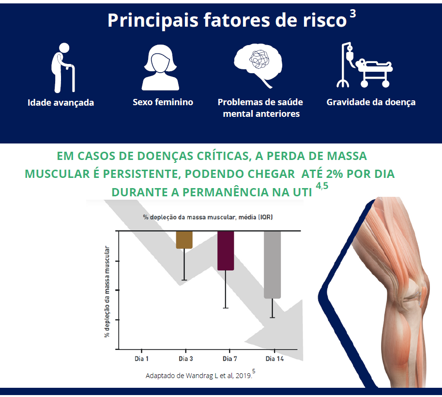 Principais fatores de riscos 