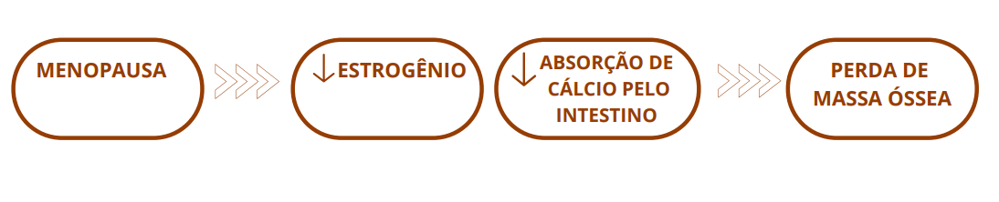 Ao se tornarem inativos, os ovários não produzem estrogênio (ou o fazem em quantidades mínimas), o que gera inúmeras repercussões no organismo da mulher, sendo a saúde dos ossos uma das principais impactadas