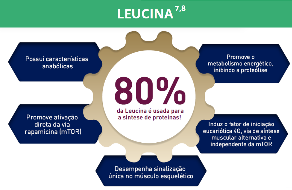 LEUCINA
