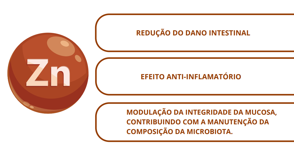 MODULAÇÃO DA INTEGRIDADE DA MUCOSA, CONTRIBUINDO COM A MANUTENÇÃO DA COMPOSIÇÃO DA MICROBIOTA.