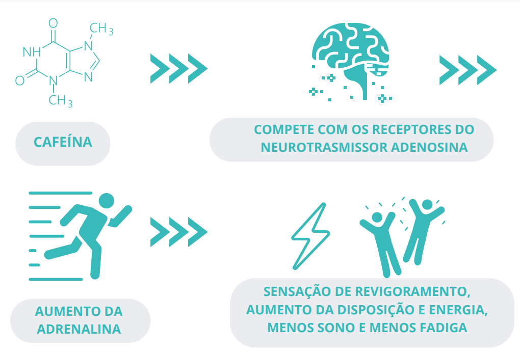 SENSAÇÃO DE REVIGORAMENTO, AUMENTO DA DISPOSIÇÃO E ENERGIA, MENOS SONO E MENOS FADIGA