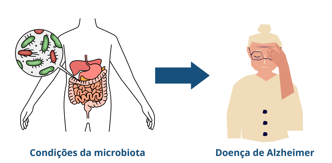 Assim, percebe-se a clara interação entre a microbiota intestinal e o cérebro. Nesse sentido, estudos têm demonstrado que algumas condições da microbiota podem contribuir para o surgimento da doença de Alzheimer.