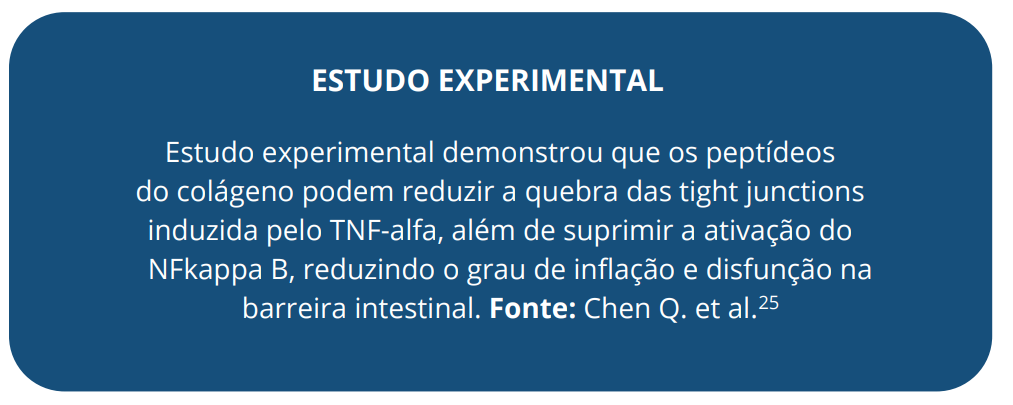 Estudo experimental demonstrou que os peptídeos do colágeno podem reduzir a quebra das tight junctions induzida pelo TNF-alfa, além de suprimir a ativação do NFkappa B, reduzindo o grau de inflação e disfunção na barreira intestinal. Fonte: Chen Q. et al.25