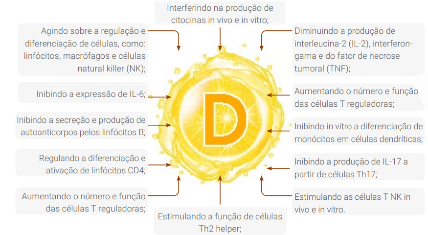 Vitamina D no sistema imune