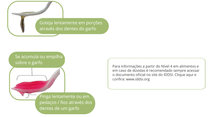 INSTRUÇÕES DE TESTE DE FLUXO DE IDDSI