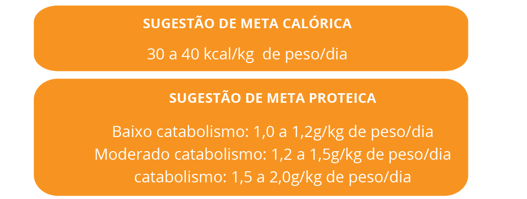 recomendações de ingestão calórica e proteica indicadas para pacientes que estão em fase de recuperação