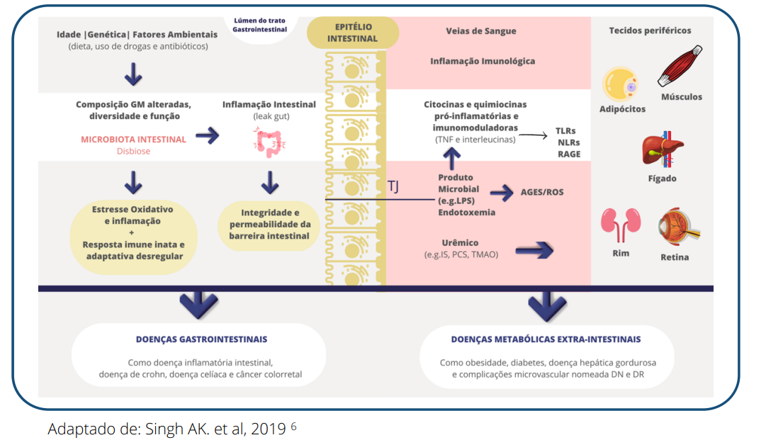 Representação esquemática das vias que associam a disbiose às doenças intestinais e aos desequilíbrios metabólicos extraintestinais.