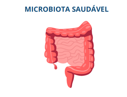Microbiota saudável 