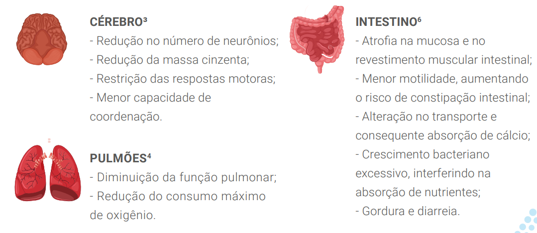Alterações decorrentes do envelhecimento que impactam o indivíduo
