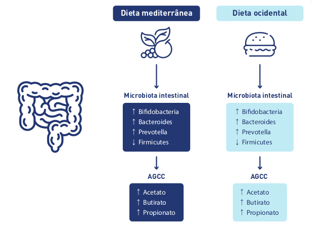 figura-3-cobertura-sebradii-2023