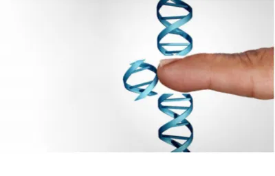 DNA